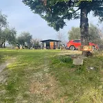 L'isola Che Non C'é * Palaia