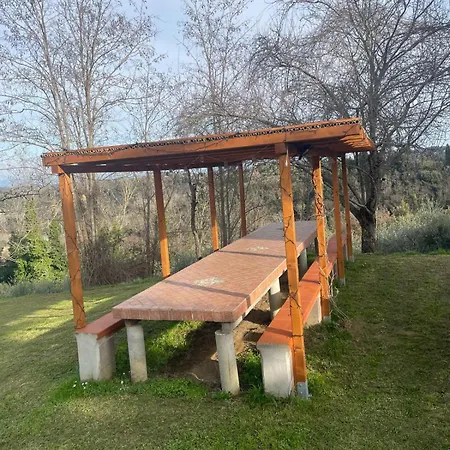 L'isola Che Non C'e Palaia