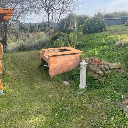 L'isola Che Non C'e *