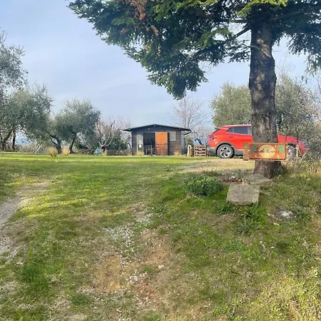 L'isola Che Non C'e * Palaia