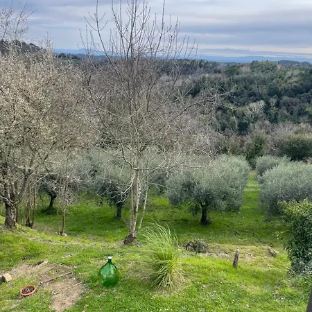 L'isola Che Non C'e Ferienhaus *