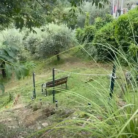 L'isola Che Non C'e * Palaia