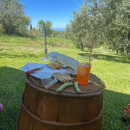 Casa de Férias L'isola Che Non C'e Palaia
