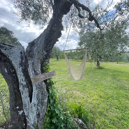 Casa de Férias L'isola Che Non C'e