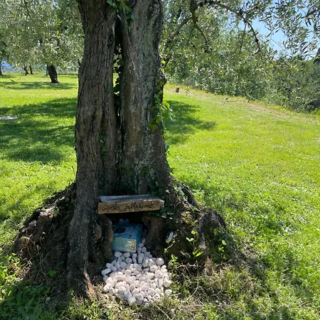 L'isola Che Non C'e *