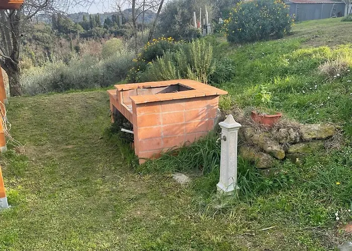 L'isola Che Non C'e *