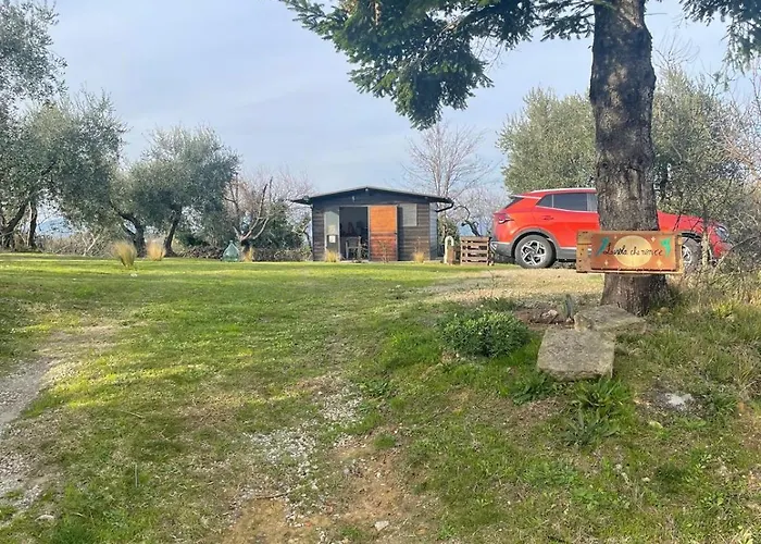 L'isola Che Non C'e * Palaia
