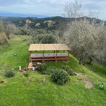 L'isola Che Non C'e * Palaia
