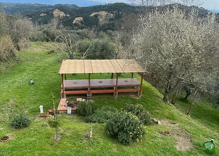 L'isola Che Non C'e * Palaia