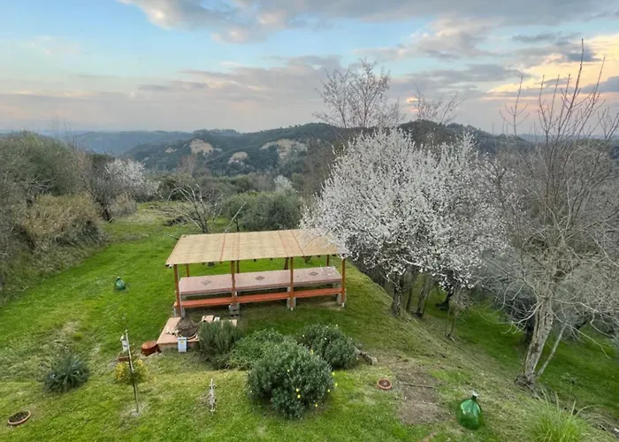 L'isola Che Non C'e