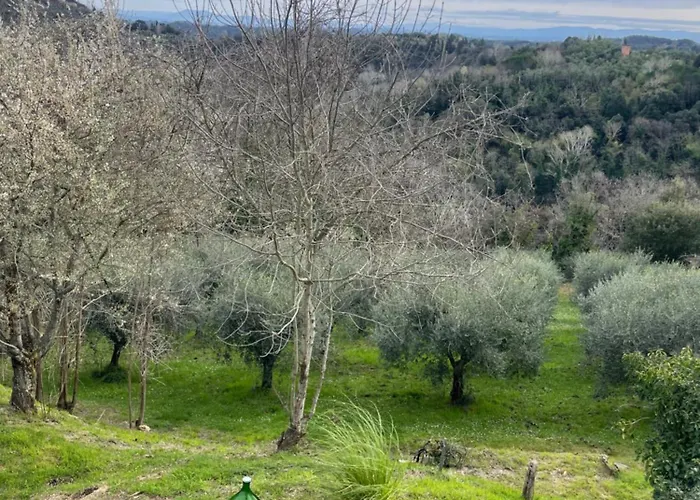 L'isola Che Non C'e Nyaraló *